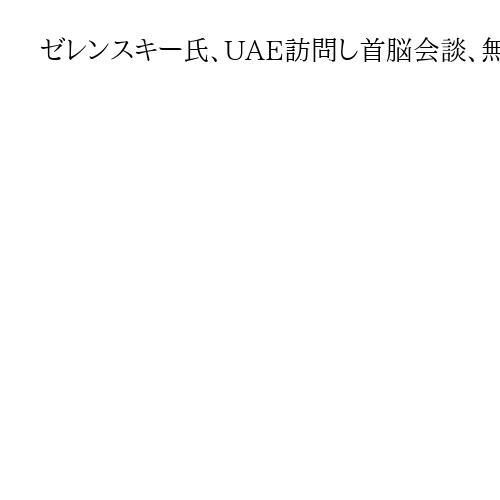 ゼレンスキー氏、UAE訪問し首脳会談、無人機迎撃など防衛協力で合意