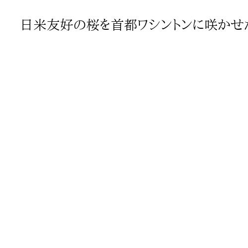 日米友好の桜を首都ワシントンに咲かせた女性　植樹を提唱した「シドモア女史」はどんな人