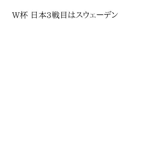 W杯 日本3戦目はスウェーデン