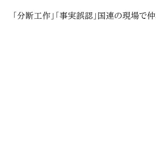 「分断工作」「事実誤認」国連の現場で仲村、座波両氏が反論　「沖縄県民＝先住民族」勧告